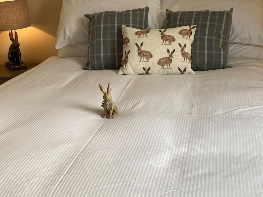 The Burrow, Langholm, Dumfries And Galloway Esterno foto